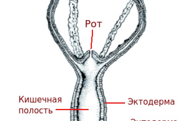 Кракен вход на сайт